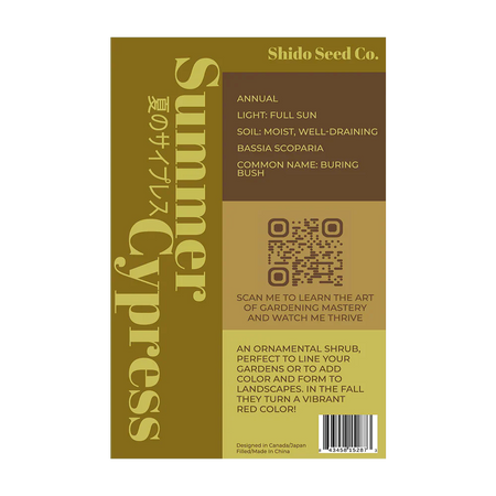 Summer Cypress - Seeds,