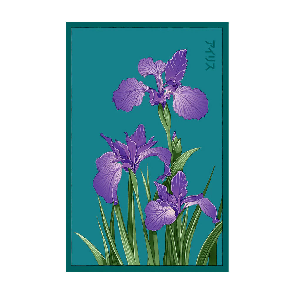 Iris - Seeds,