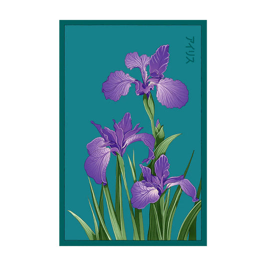 Iris - Seeds,