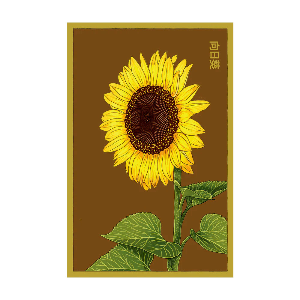 Sunflower - Seeds,