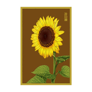 Sunflower - Seeds,