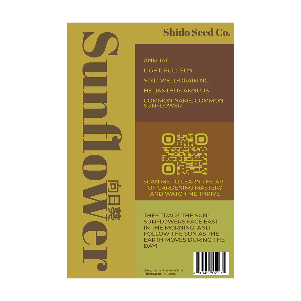 Sunflower - Seeds,