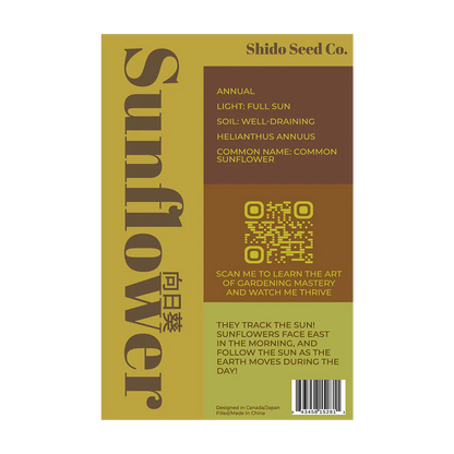 Sunflower - Seeds,