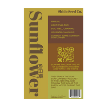 Load image into Gallery viewer, Sunflower - Seeds,

