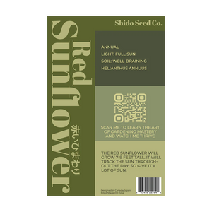 Red Sunflower - Seeds,