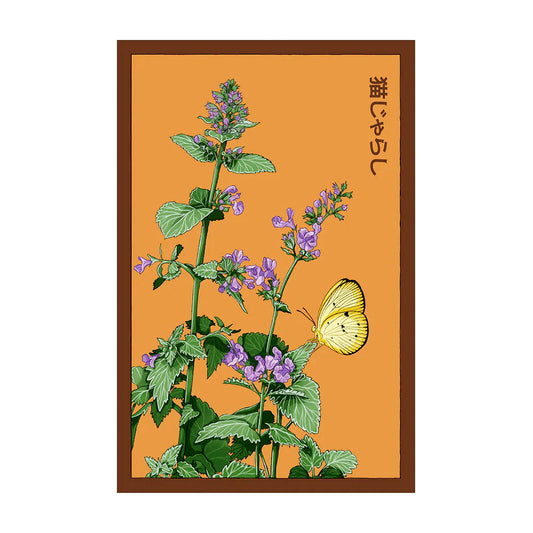 Catnip - Seeds,