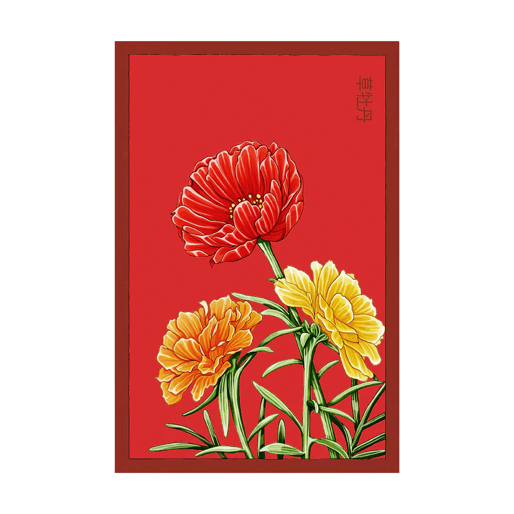 Herbaceous Peony - Seeds,