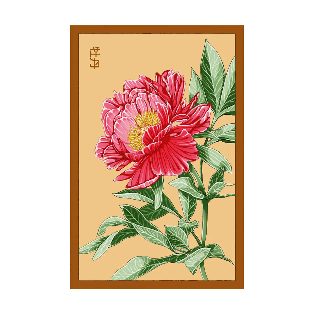 Peony - Seeds,