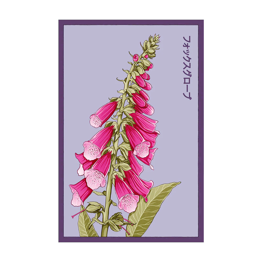Foxglove - Seeds,