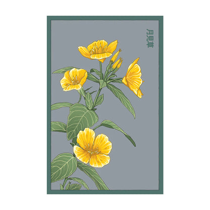 Evening Primrose- Seeds,