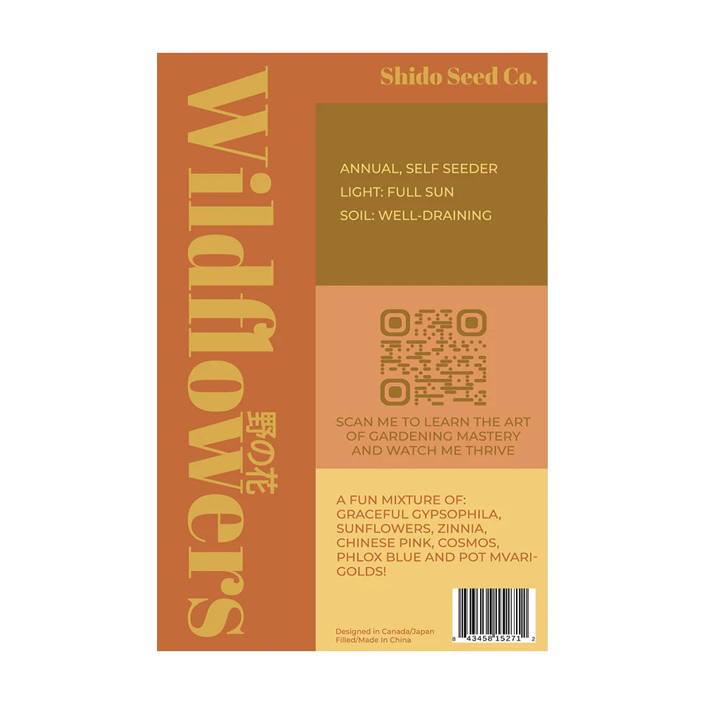 Wild Flower - Seeds,