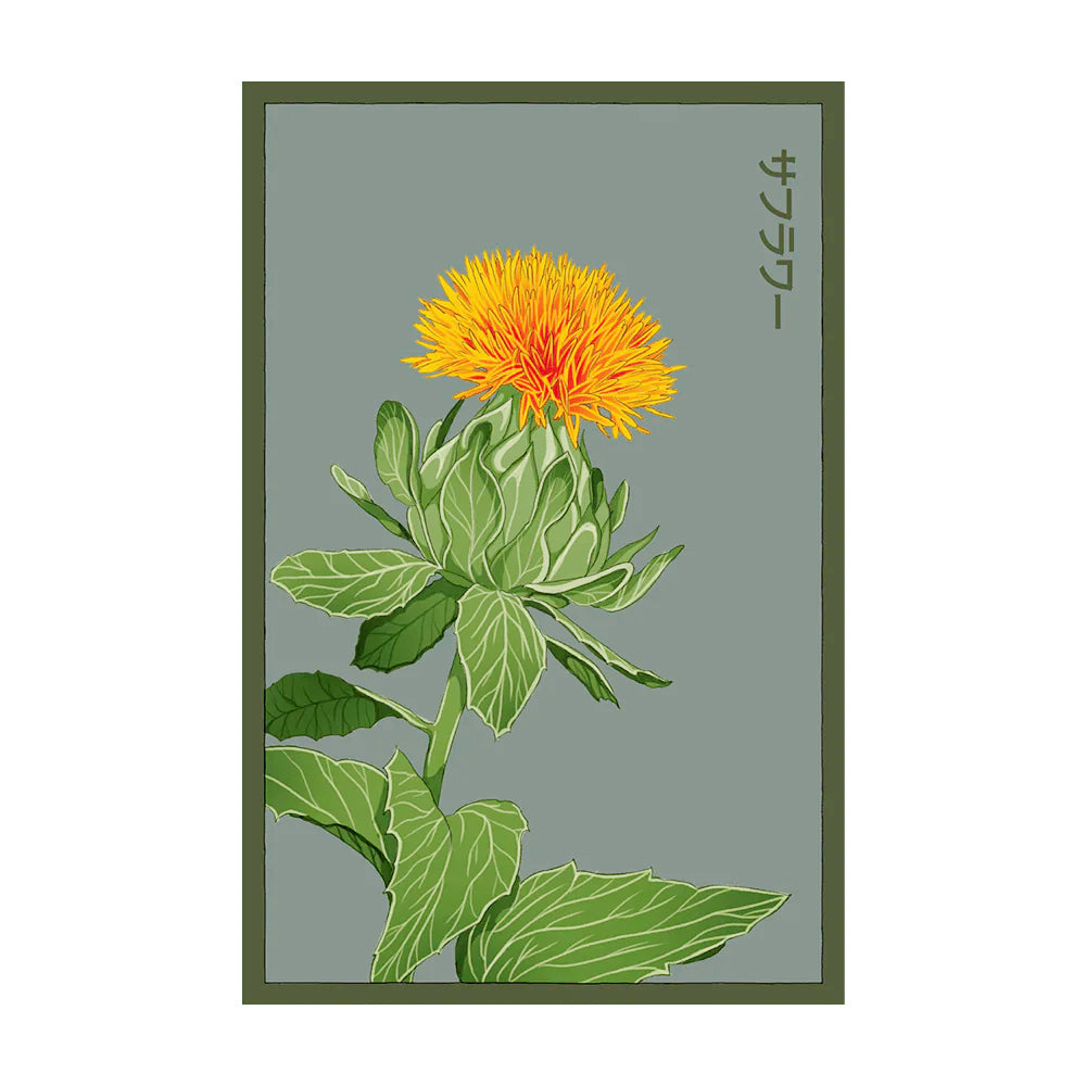 Safflower - Seeds,