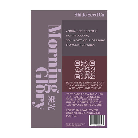 Morning Glory - Seeds,