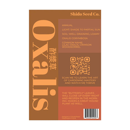 Oxalis - Seeds,