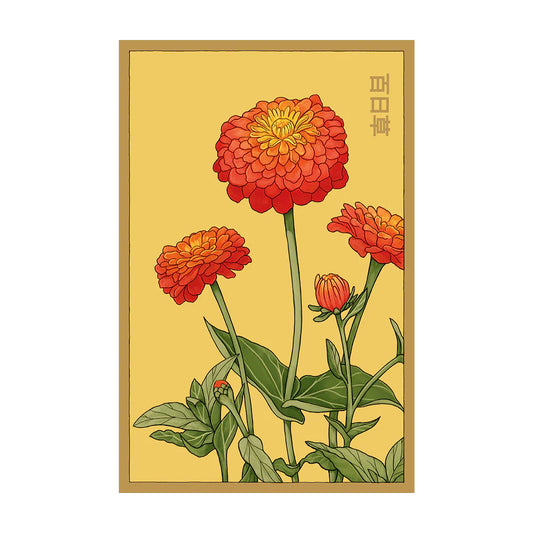 Zinnia - Seeds,