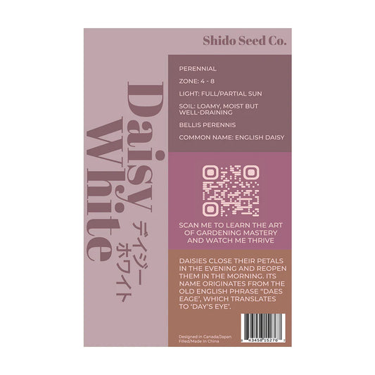 White Daisy - Seeds,