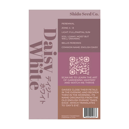 White Daisy - Seeds,