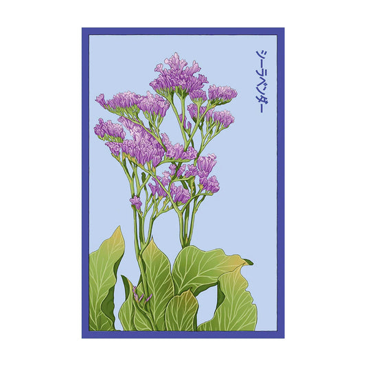 Sea Lavender - Seeds,