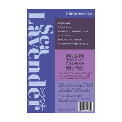 Sea Lavender - Seeds,