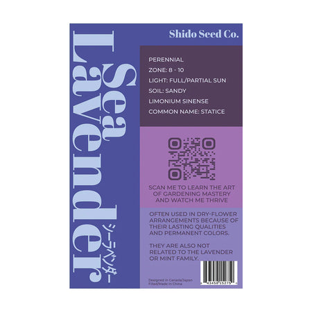 Sea Lavender - Seeds,