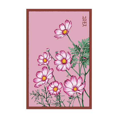Cosmos Flowers - Seeds,