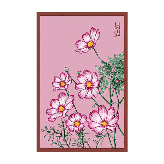 Cosmos Flowers - Seeds,