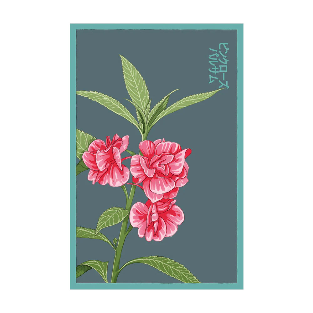 Pink Rose Balsam - Seeds,