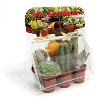 Load image into Gallery viewer, 1.5in Cactus Mini Greenhouse
