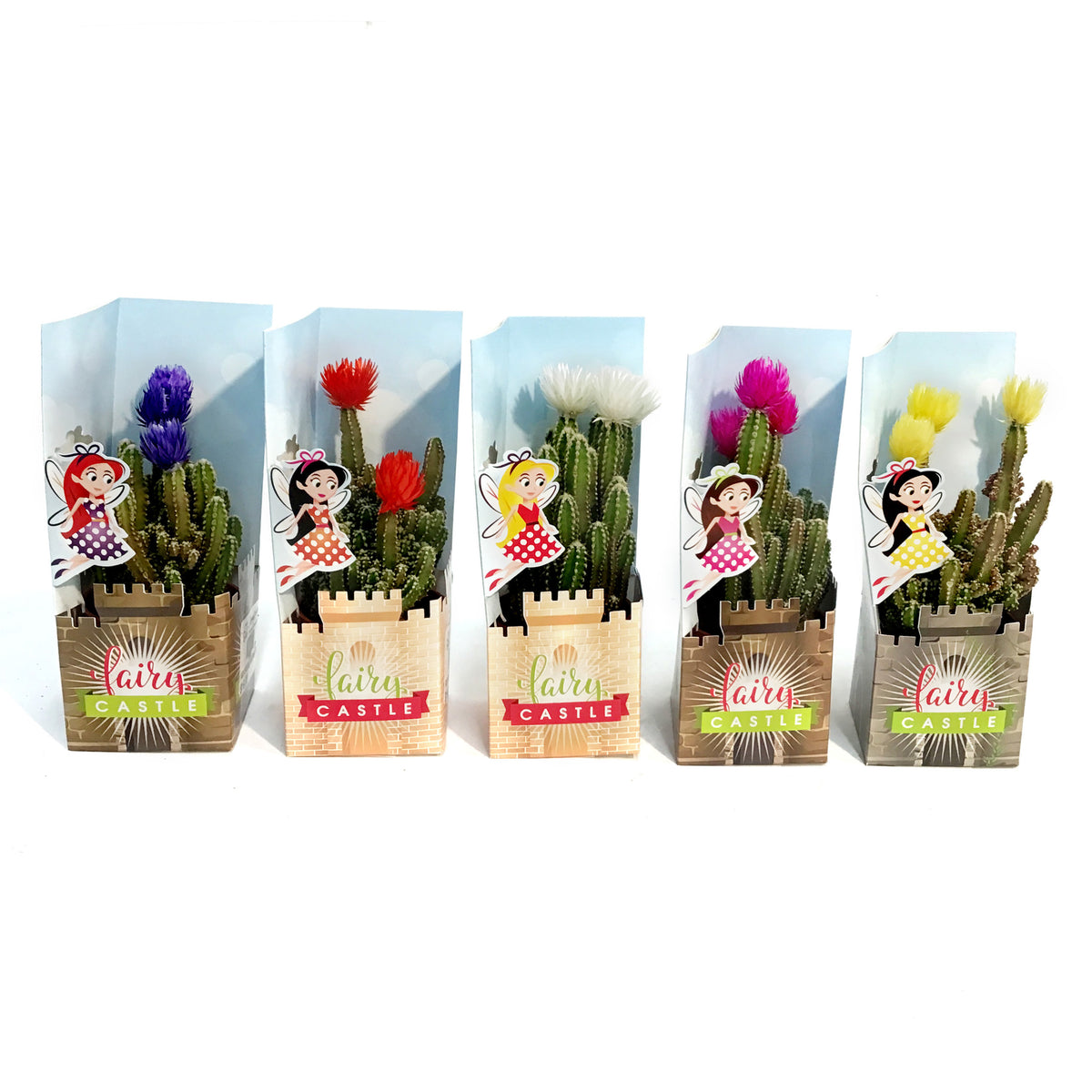 2.5in Strraw Flower w/ Straw Flower