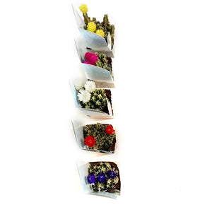 2.5in Strraw Flower w/ Straw Flower