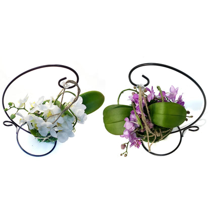 Orchid, 3in, Bramble Kokodama W/ Stand