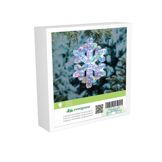 Decor Iridescent Snowflake, LED,16in H