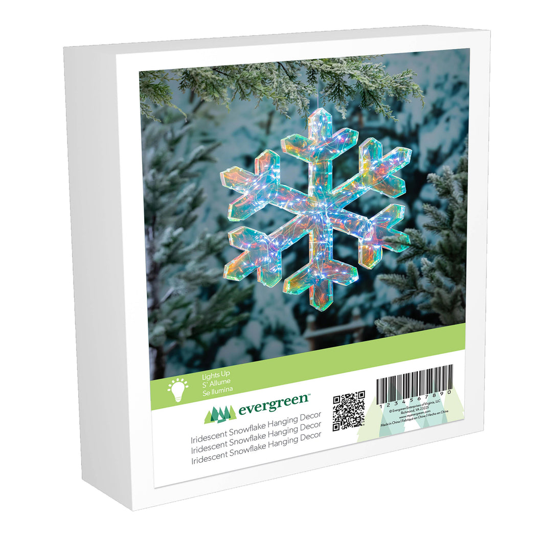 Decor Iridescent Snowflake, LED,20in H