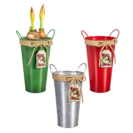 Santa Bucket Planter W/ Tag Assorted