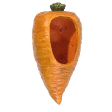 Load image into Gallery viewer, Carrot Planter
