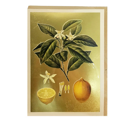 Lemons Greeting Card