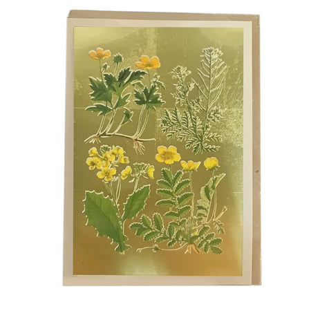 Wild Marsh Flower Collection Greeting Card