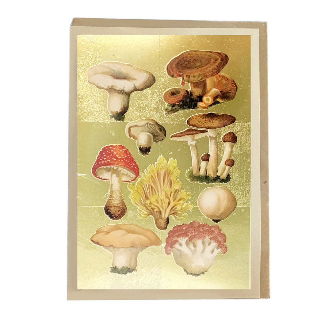 Fungi Collection Greeting Card