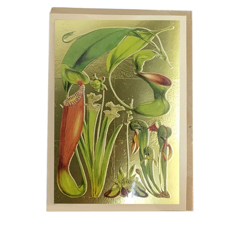 Pitcher Plants Greeting Card