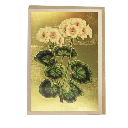 Geranium Greeting Card