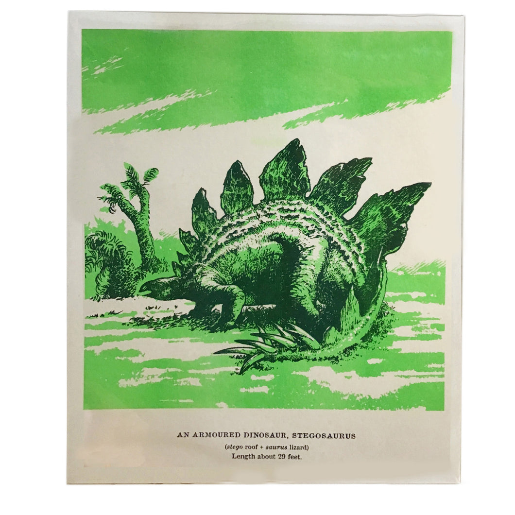 Stegosaurus Riso Print