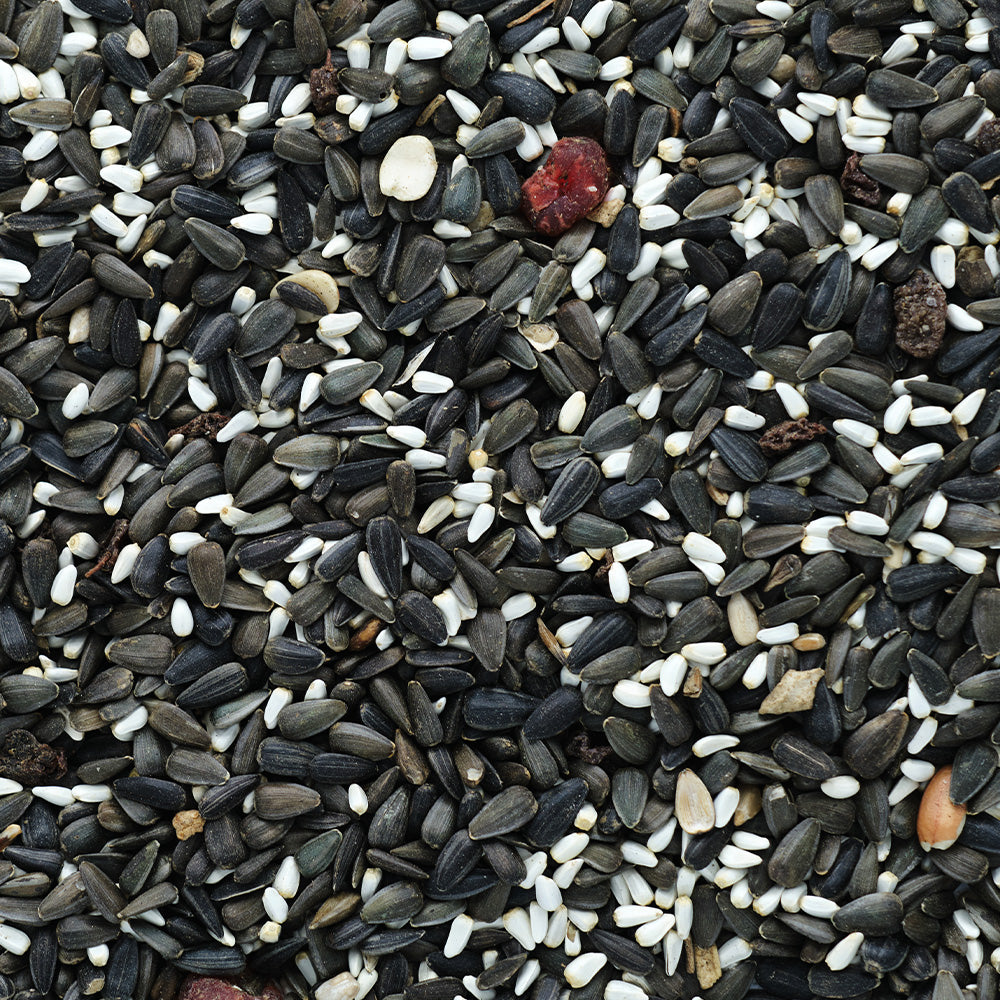 Armstrong Bird Food, Brilliance, 1.8kg