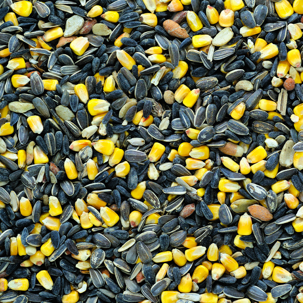Armstrong Bird Food, Jay's Blend, 1.8kg