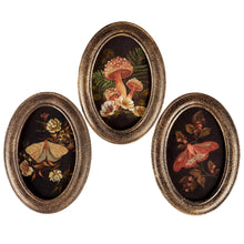 Load image into Gallery viewer, Hanging Decor- Hidden Garden 3 Assorted
