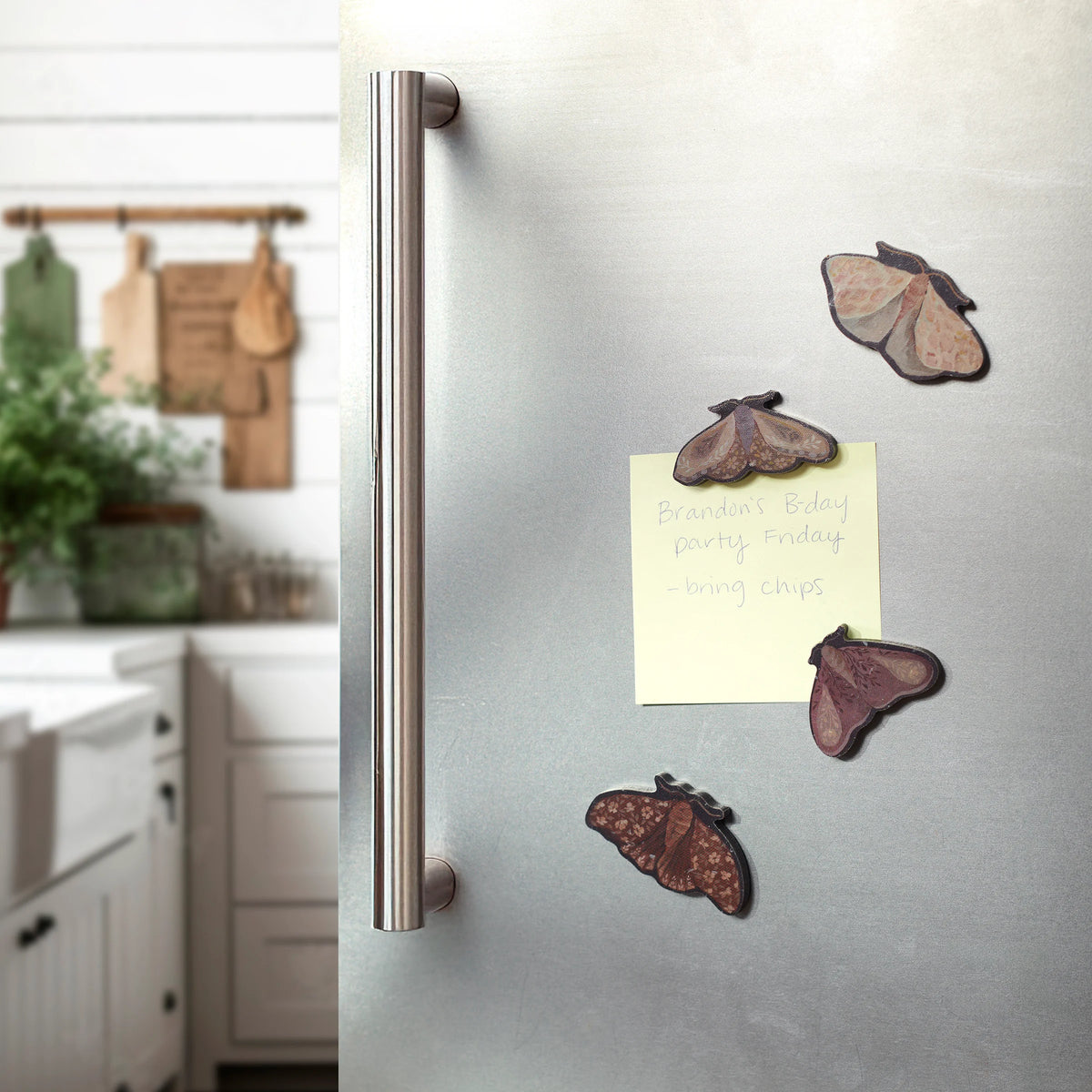 Hidden Garden Magnets, Set of 4