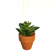 Load image into Gallery viewer, Ornament, Plastic Potted Plant, Green
