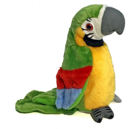 Toy, Talking Parrot