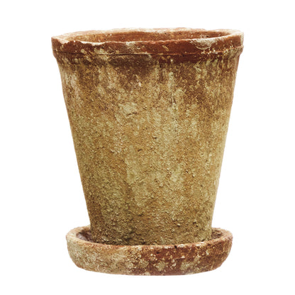 Pot, 5in Dsitressed Cement with Saucer