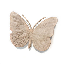 Load image into Gallery viewer, Iron Cast Metal Insects, Assorted
