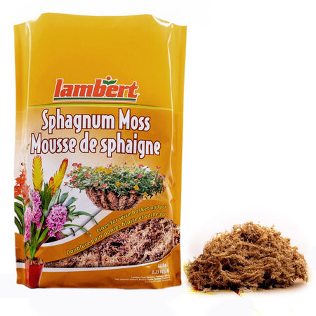 Sphagnum Moss, 8.8L Bag